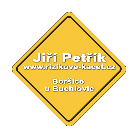 Rizikové kácení Jiří Petřík
